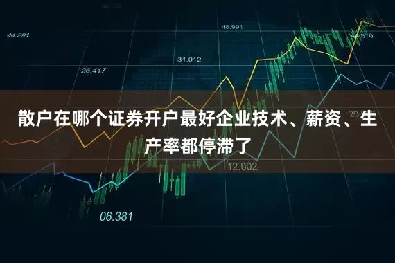 散户在哪个证券开户最好企业技术、薪资、生产率都停滞了